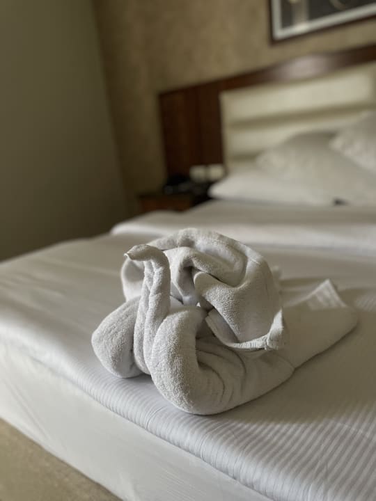 Zimmer Pickalbatros Aqua Blu Resort - Sharm El Sheikh