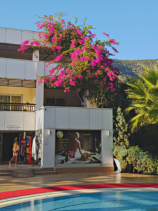 Außenansicht Latanya Park Resort