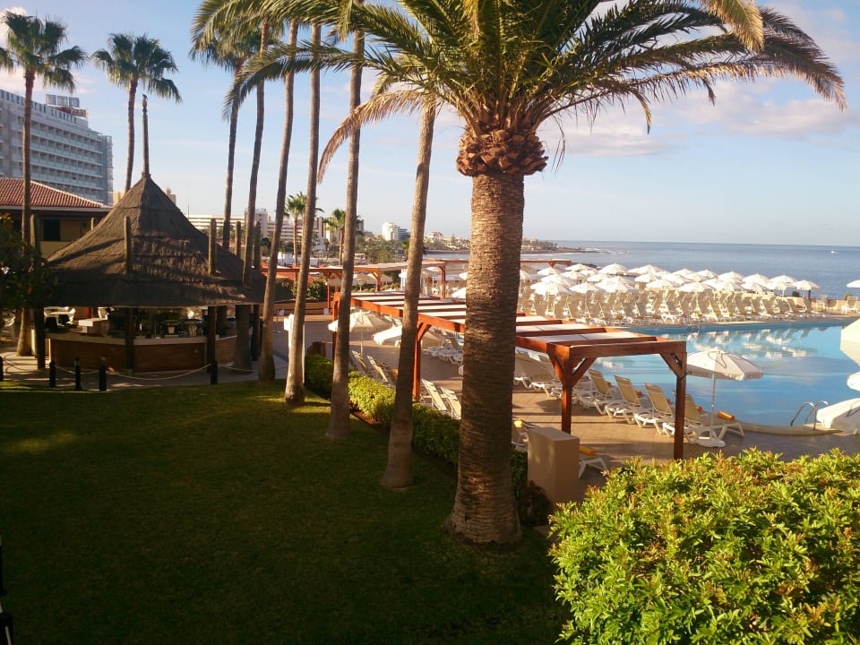 Poolbar Iberostar Waves Bouganville Playa