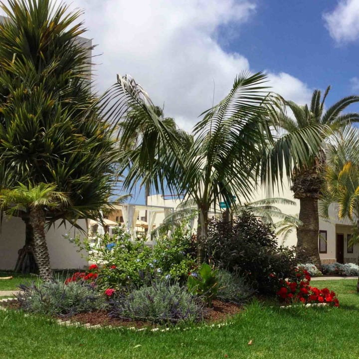 Gartenanlage Alua Suites Fuerteventura