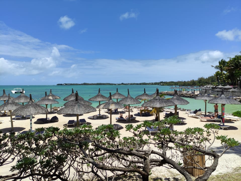 Ausblick Lagoon Attitude - Adults only