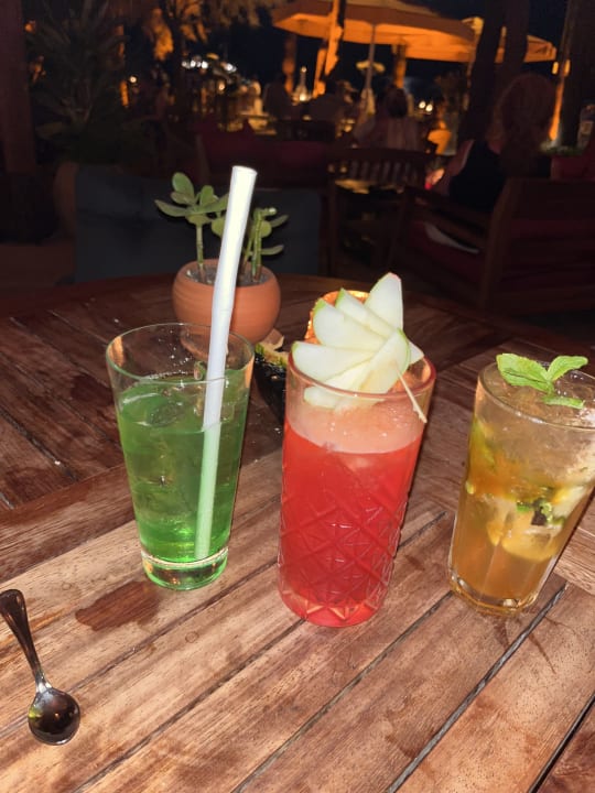 Gastro Arum Barut Collection
