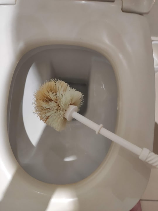 Zimmer Club Palm Azur