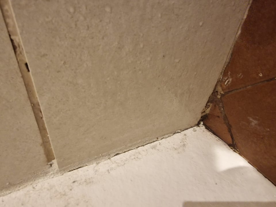 Zimmer Domes Aulūs Zante, Autograph Collection