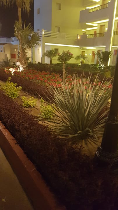 Gartenanlage Pickalbatros Dana Beach Resort - Hurghada
