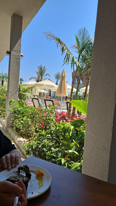 Gartenanlage Dream Fun World