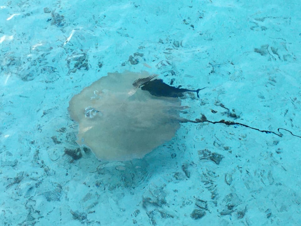 Strand Embudu Village