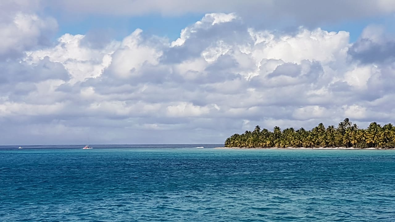 Ausblick Grand Palladium Punta Cana Resort & Spa