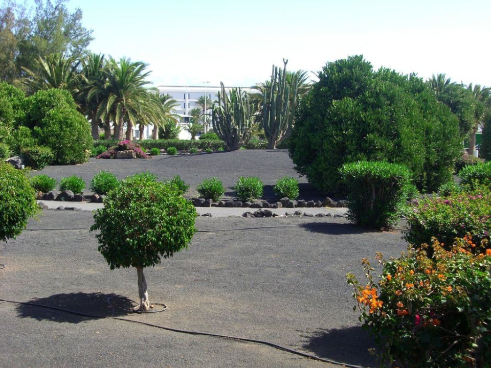 weitläufige Gartenanlage Relaxia Olivina