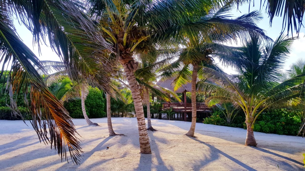 Gartenanlage Akumal Bay Beach & Wellness Resort
