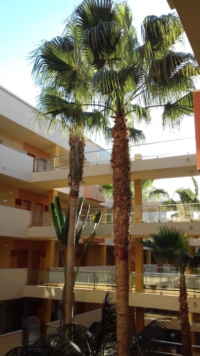 Sonstiges Elba Carlota Beach & Golf Resort