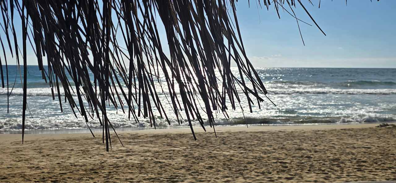 Strand AQI Pegasos Club