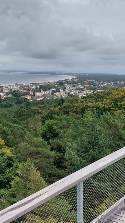Ausblick Villen im Park