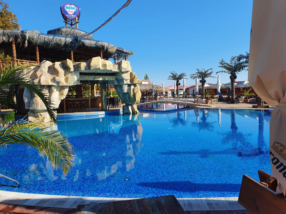 Strand Hotel Gladiola Star