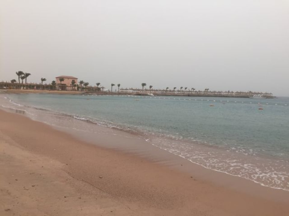 Strand vom Beach Beach Albatros Resort