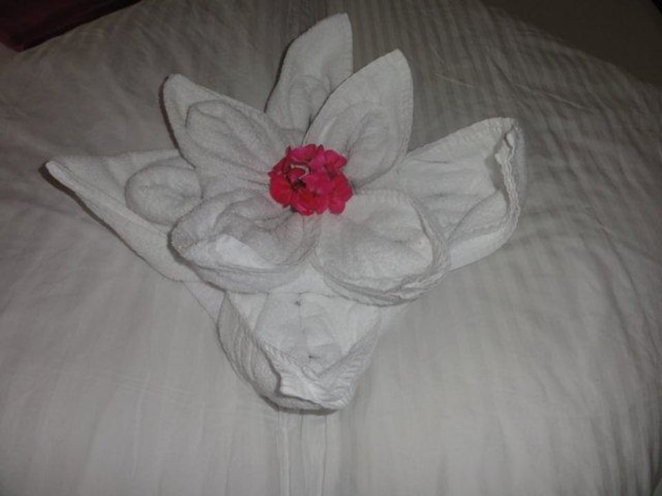 Eine Lotusblüte Garni Hotel - Das Alpin Kaiserzeit