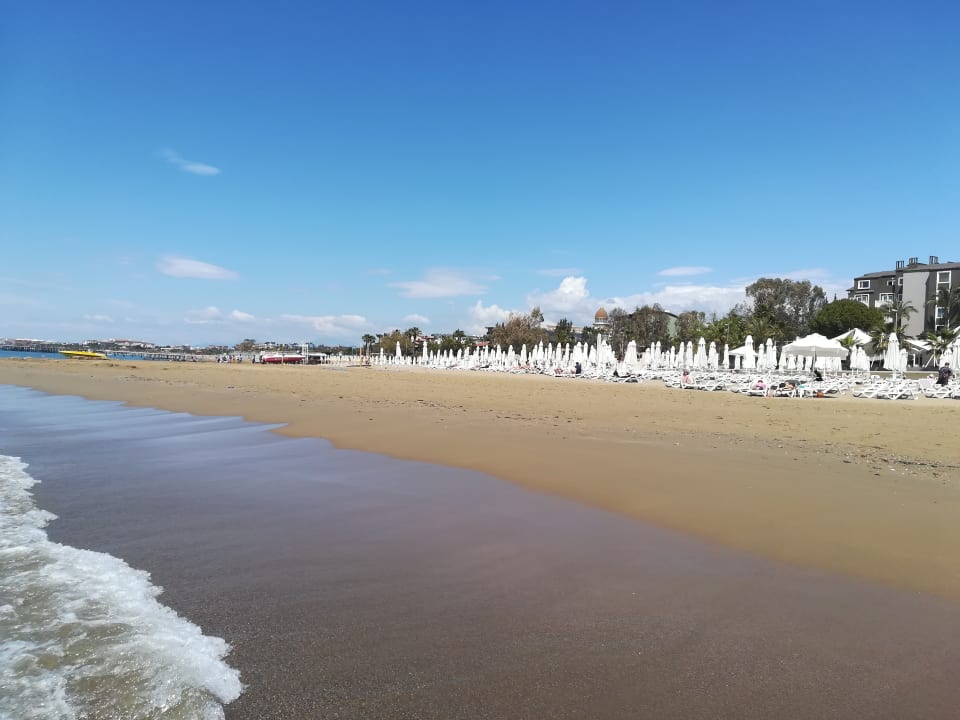 Strand PALOMA Perissia