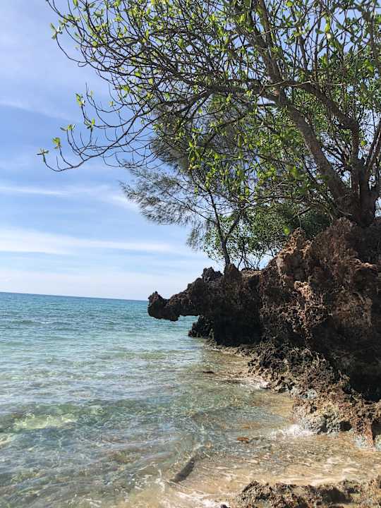 Strand Kingstone lodge zanzibar