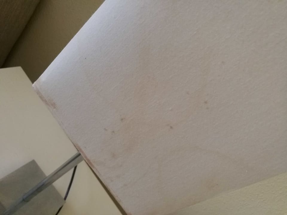 Zimmer Los Olivos Beach Resort