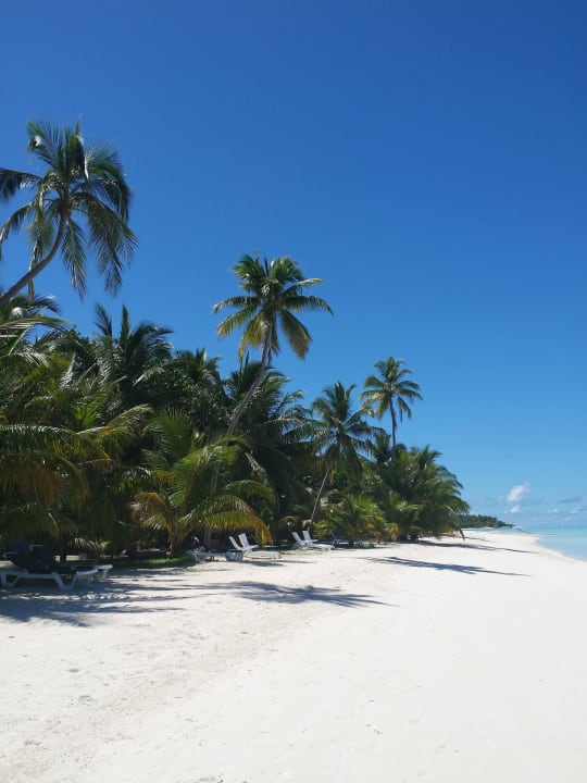 Herrlich Meeru Maldives Resort Island