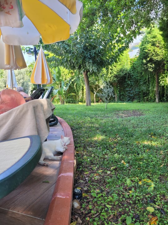 Sonstiges Hotel Gardenia Beach