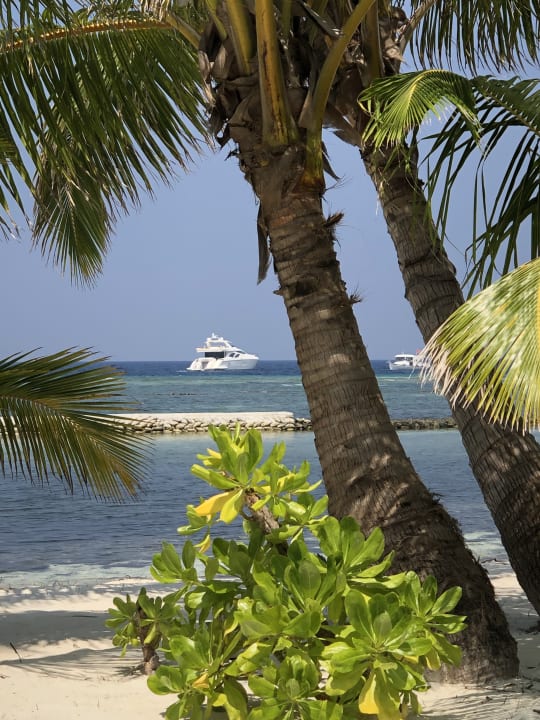 Außenansicht Kuredu Island Resort & Spa