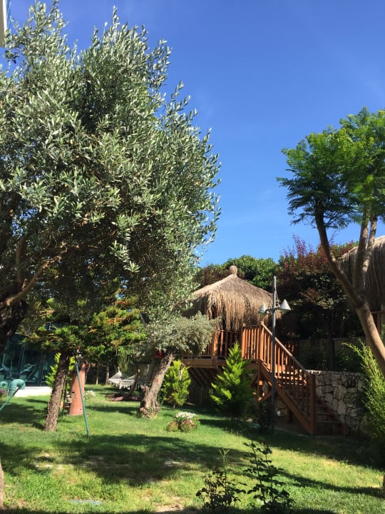 Gartenanlage Commodore Elite Suites & Spa - Adults only