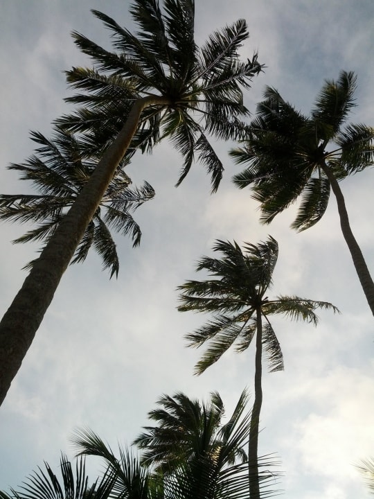 Blick Richtung Himmel Mermaid Hotel & Club