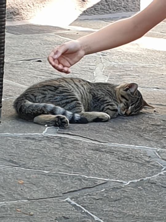 Sonstiges Bauernhof - Pension Zenzlgut