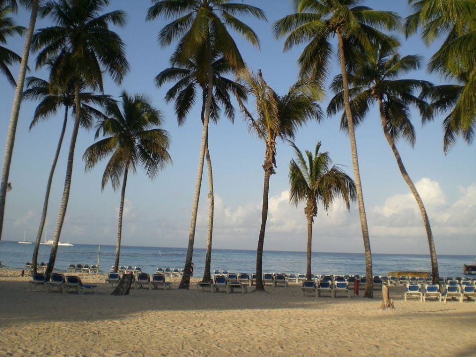 Ausblick zum Strand  Dreams La Romana Resort & Spa