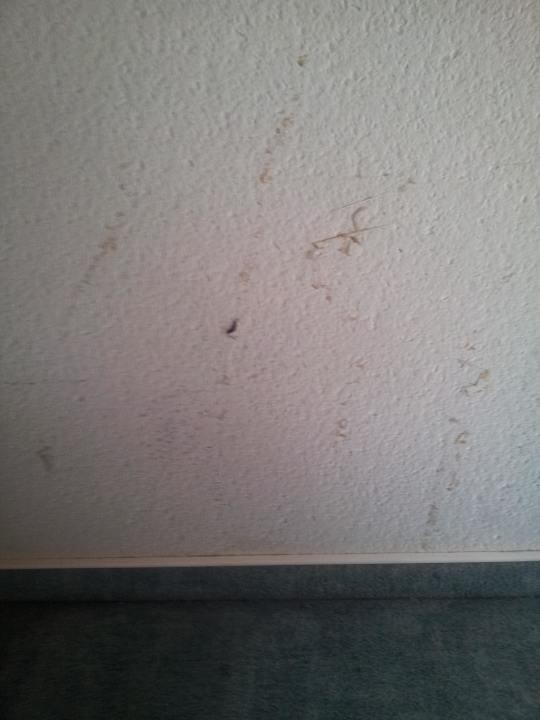 Wohnzimmerwand I.v.Bodman-Ferienwohnungen