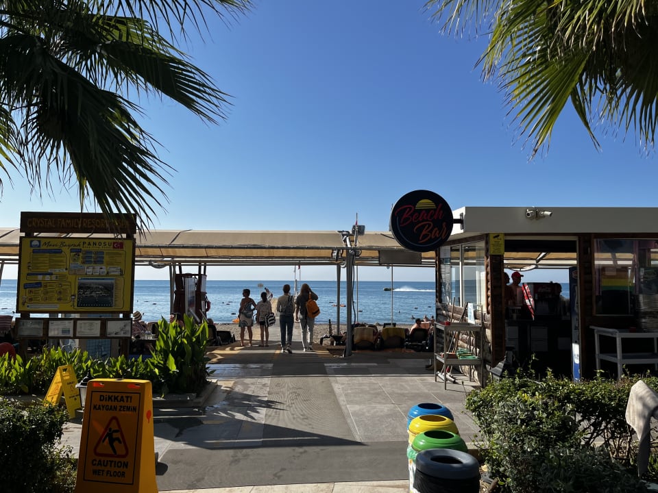 Strand Crystal Family Comfort Collection