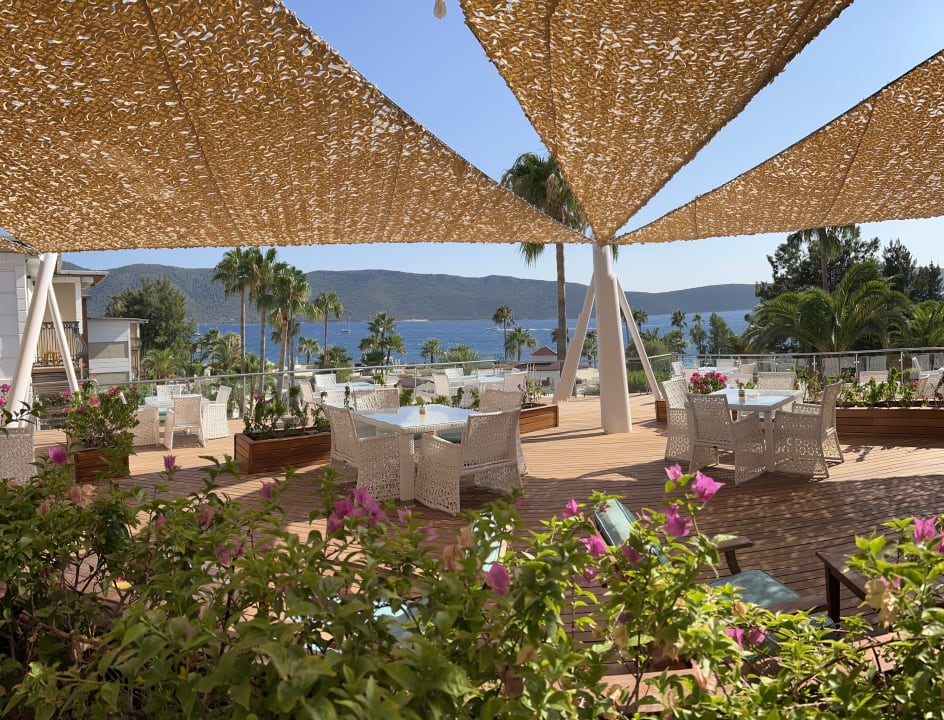 Gastro TUI MAGIC LIFE Bodrum - Adult Only (16+)