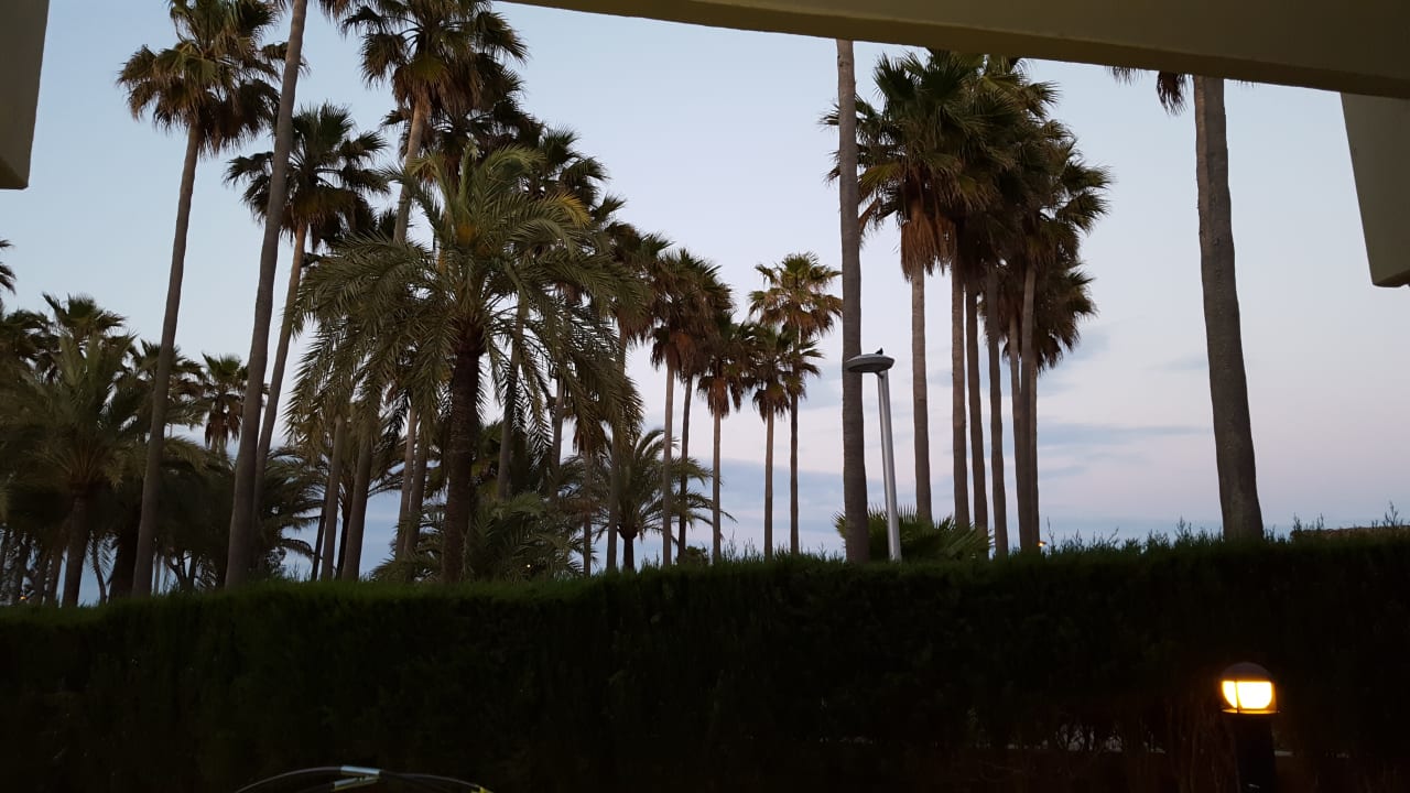 Ausblick Hipotels Mediterraneo Club