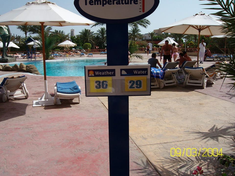 Gute Badetemperatur Seagull Beach Resort