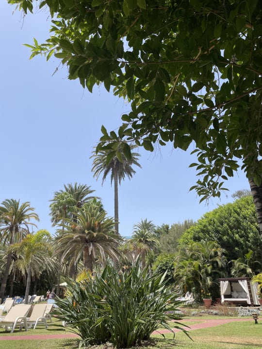 Gartenanlage Bull Costa Canaria & Spa - Adults only