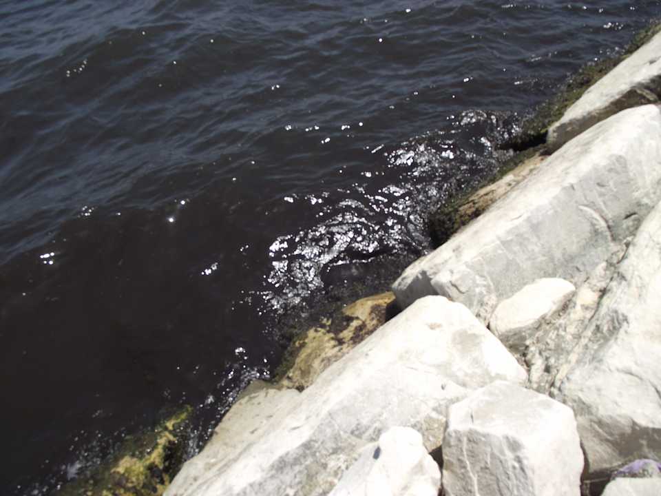 Kaimauer Alassio Hotel and Thalasso