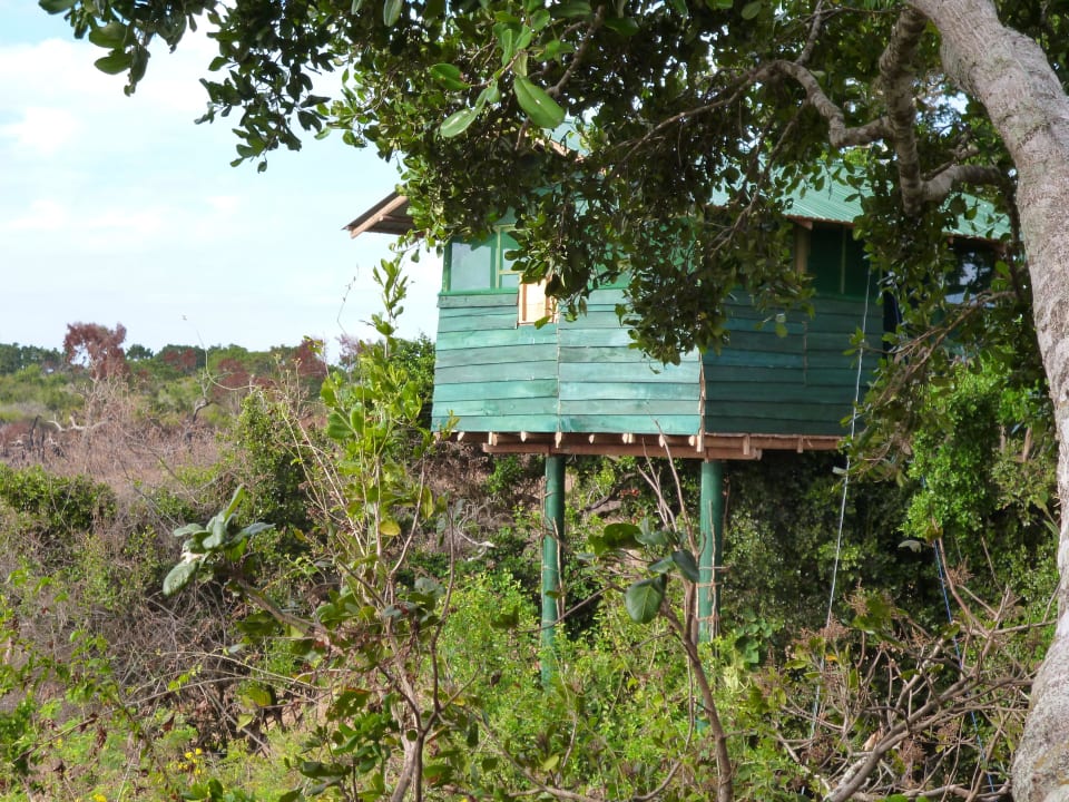 Baumhaus Hotel Bentota Village