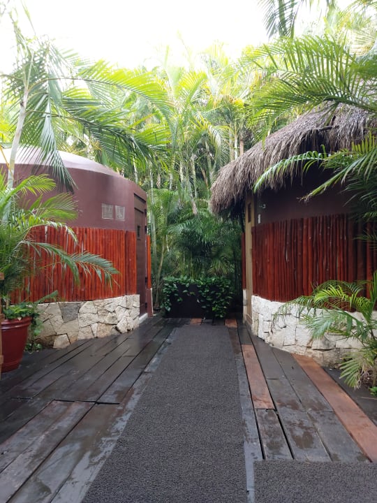 Gartenanlage Akumal Bay Beach & Wellness Resort