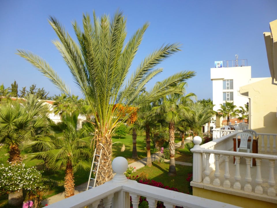 Blick in den Garten Hotel Mountain View