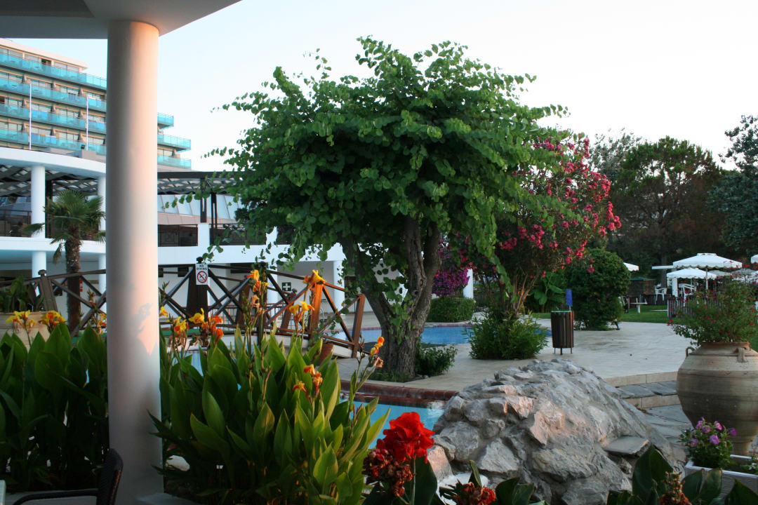 Gartenanlage Hotel Calypso Beach