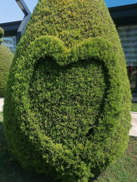 Gartenanlage Grand Seker Hotel