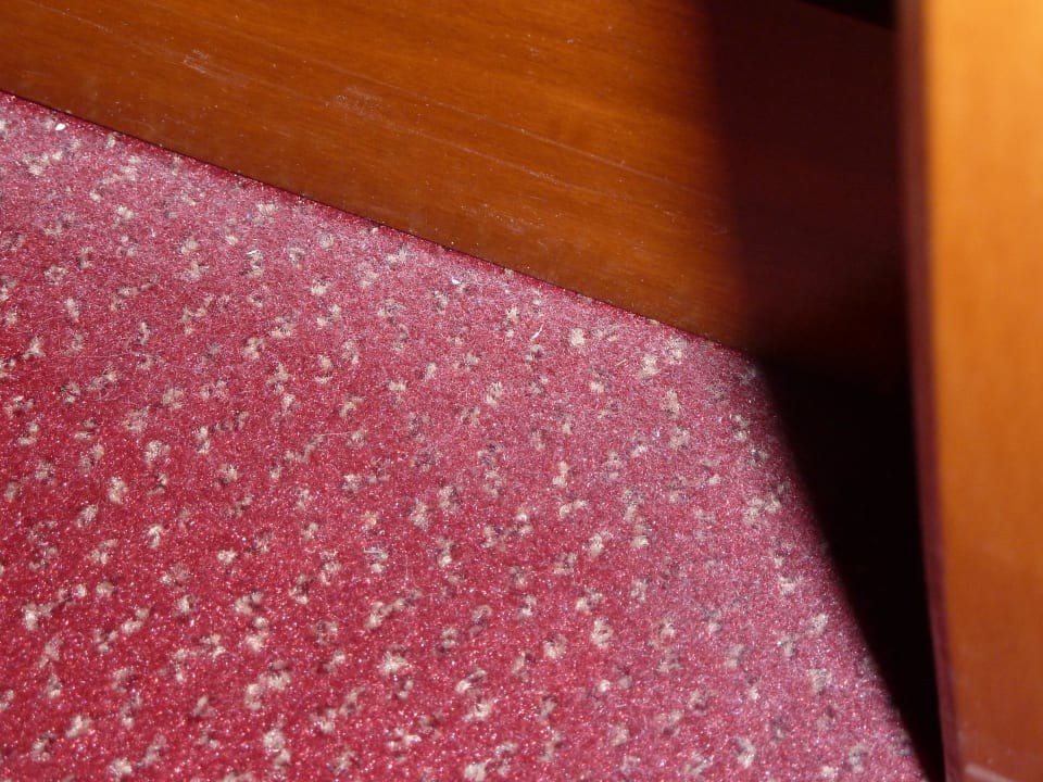 Schlecht gesaugt  Schlosshotel Stecklenberg