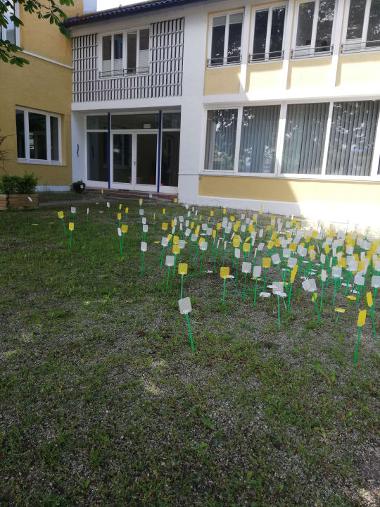 Außenansicht Hotel Luitpold am See