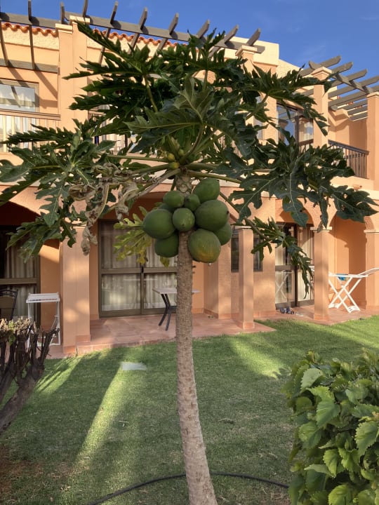 Gartenanlage Bakour Fuerteventura La Pared