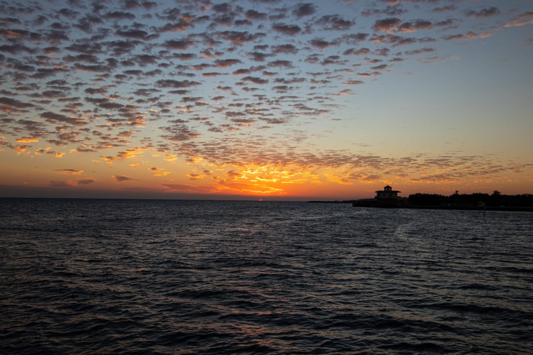 Ausblick Desert Rose