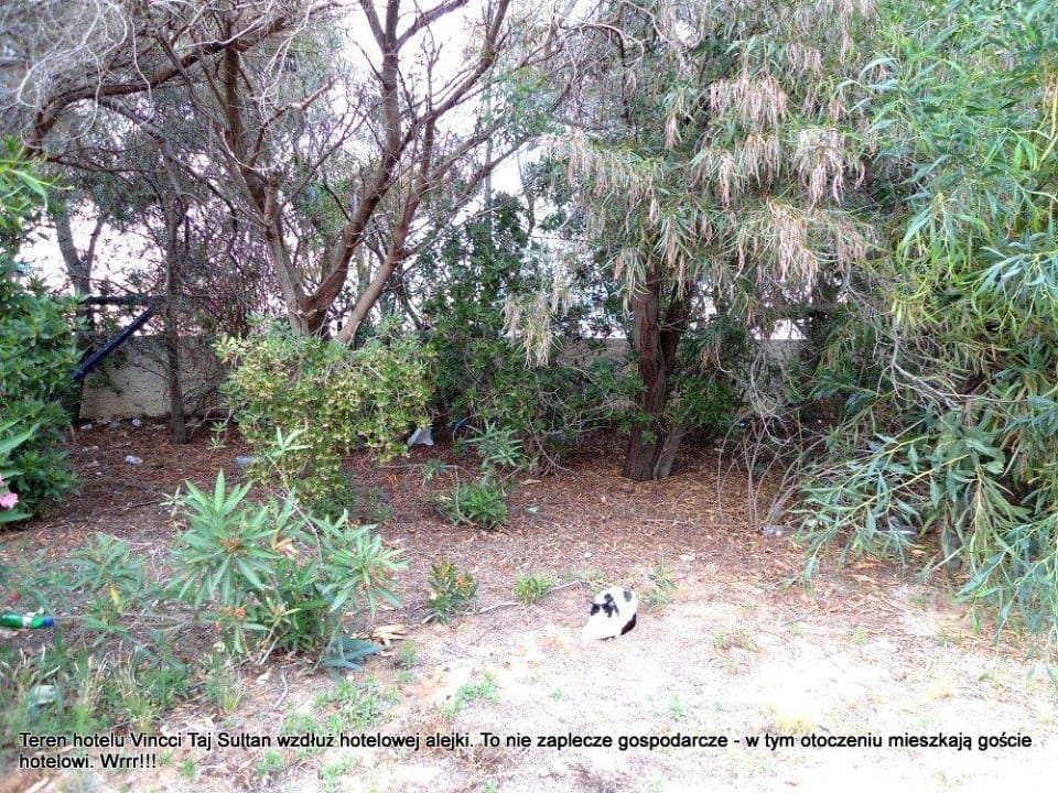 Drugie oblicze hotelu Vincci Taj Sultan Royal Tulip Taj Sultan