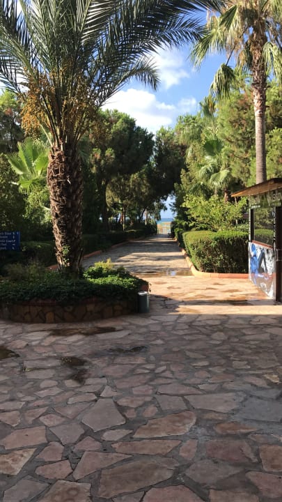 Gartenanlage Club Turtas Beach Hotel