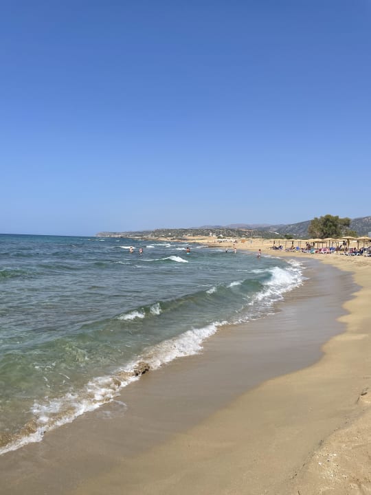 Strand allsun Hotel Carolina Mare