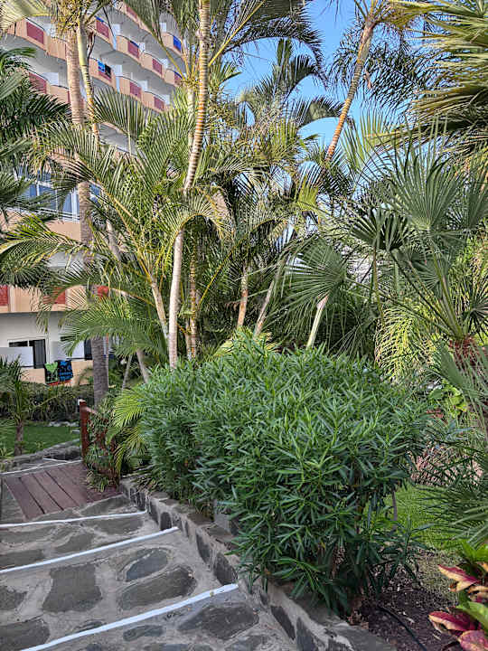 Gartenanlage allsun Hotel Lucana